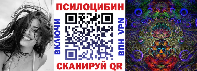 ссылка на мегу маркетплейс  сайты даркнета как зайти  Суздаль  Псилоцибиновые грибы Magic Shrooms  продажа наркотиков 